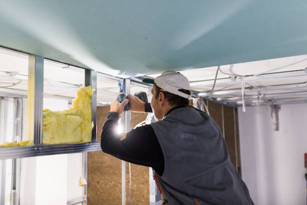 Best Commercial Insulation in Mililani Mauka, HI
