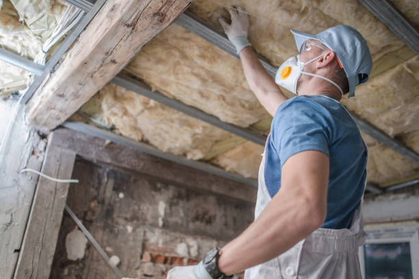 Best Residential Insulation in Mililani Mauka, HI