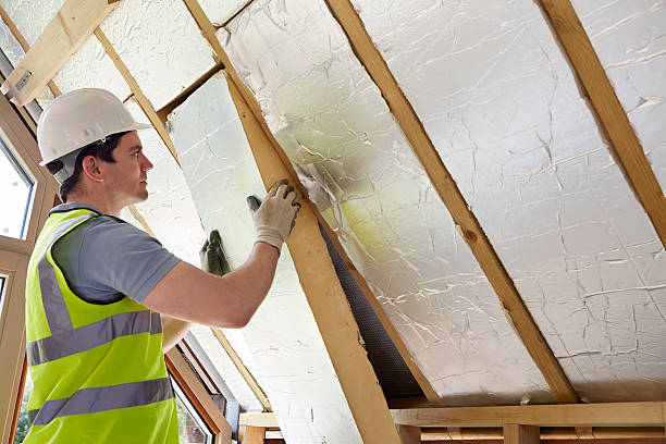 Best Types of Insulation in Mililani Mauka, HI